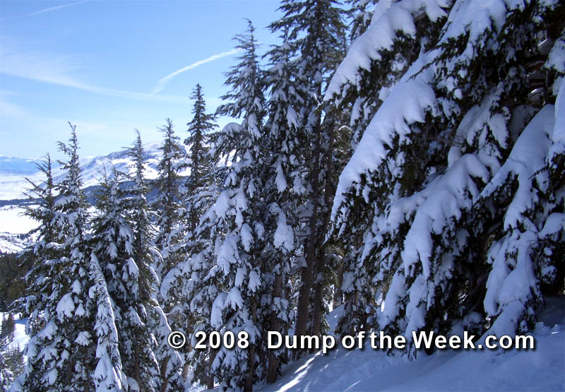 Deep Snow Skiing and Snowboarding